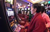 PG电玩南美之翼体验版带你翱翔亚马逊雨林感受飞行快感